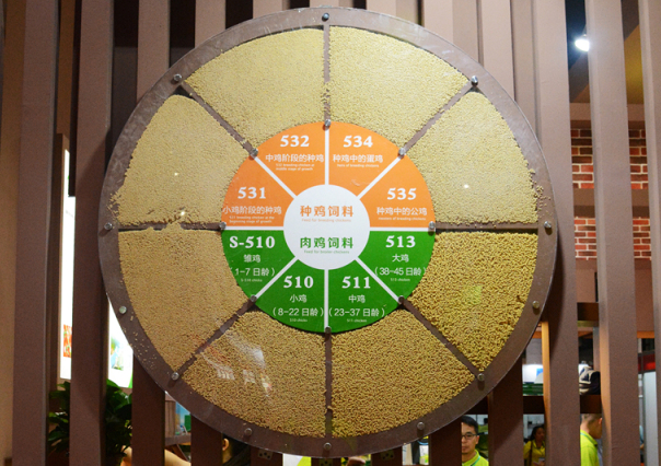 LETOU - 乐投(中文)官方网站