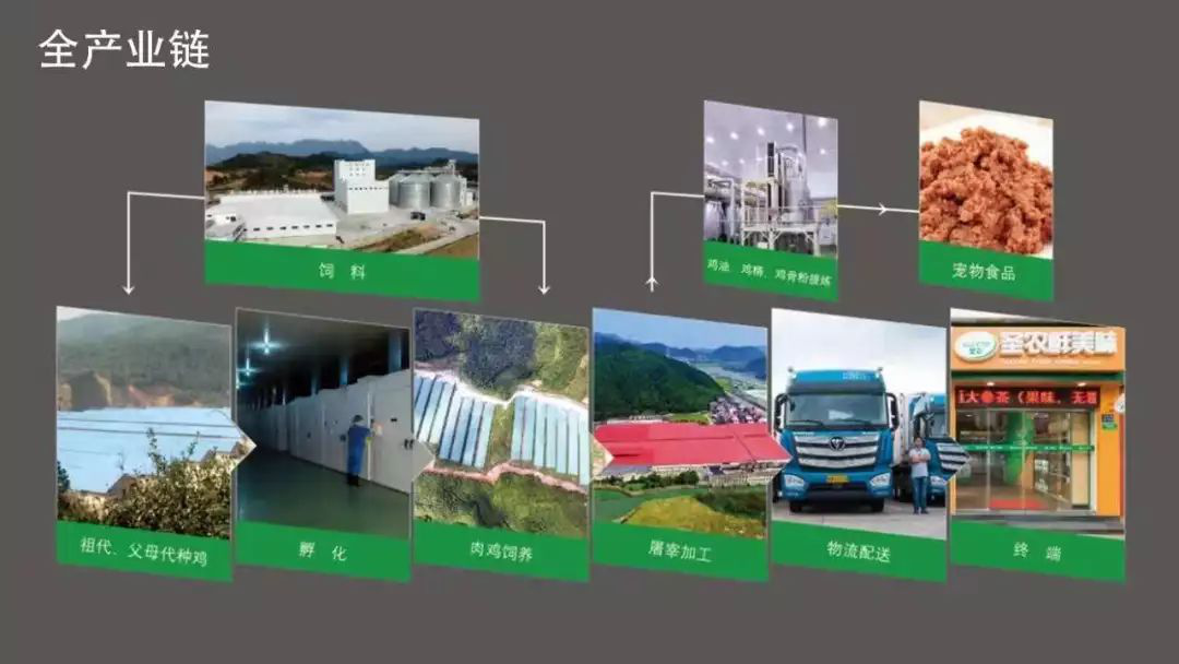 LETOU - 乐投(中文)官方网站