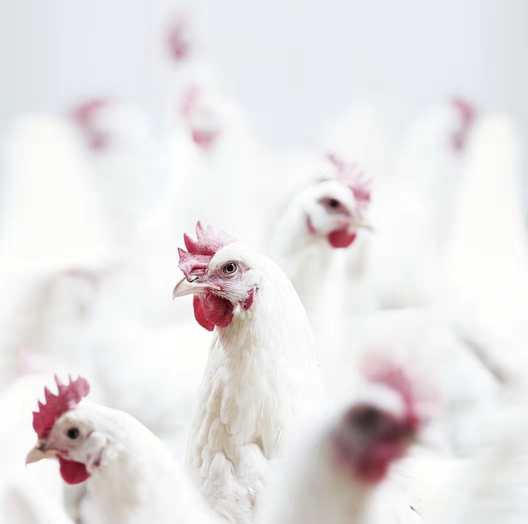 LETOU - 乐投(中文)官方网站