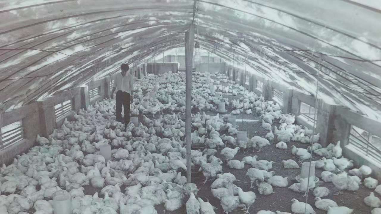 LETOU - 乐投(中文)官方网站