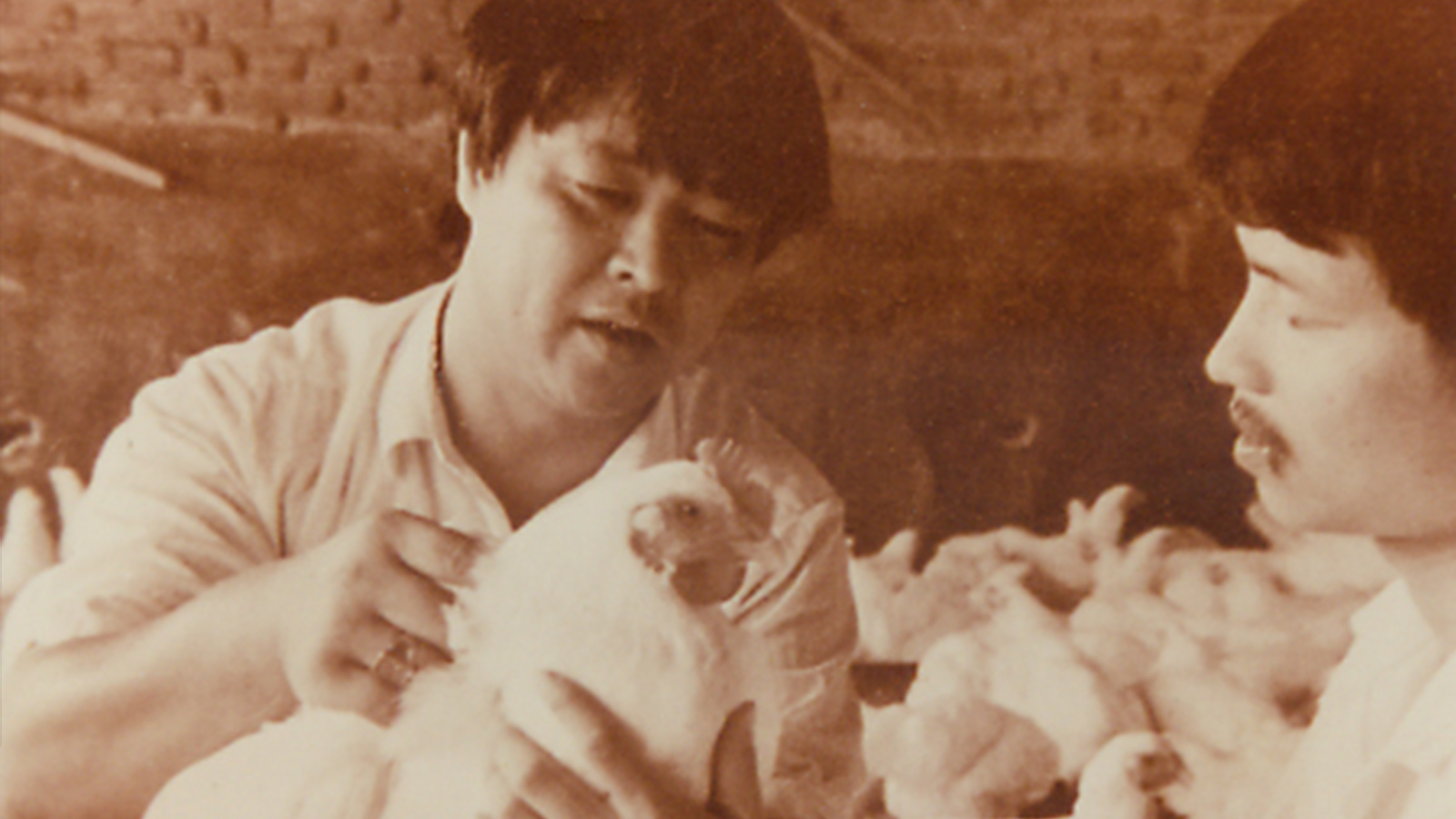 LETOU - 乐投(中文)官方网站