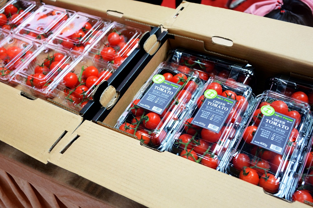 LETOU - 乐投(中文)官方网站