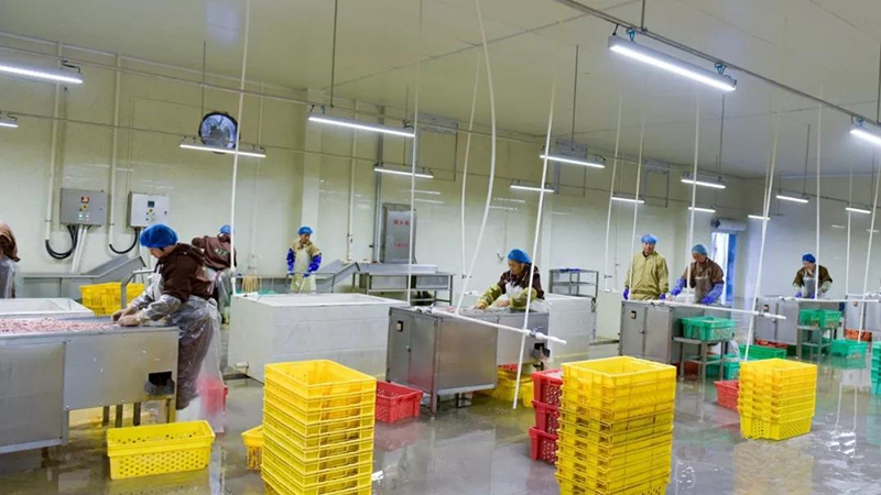 LETOU - 乐投(中文)官方网站