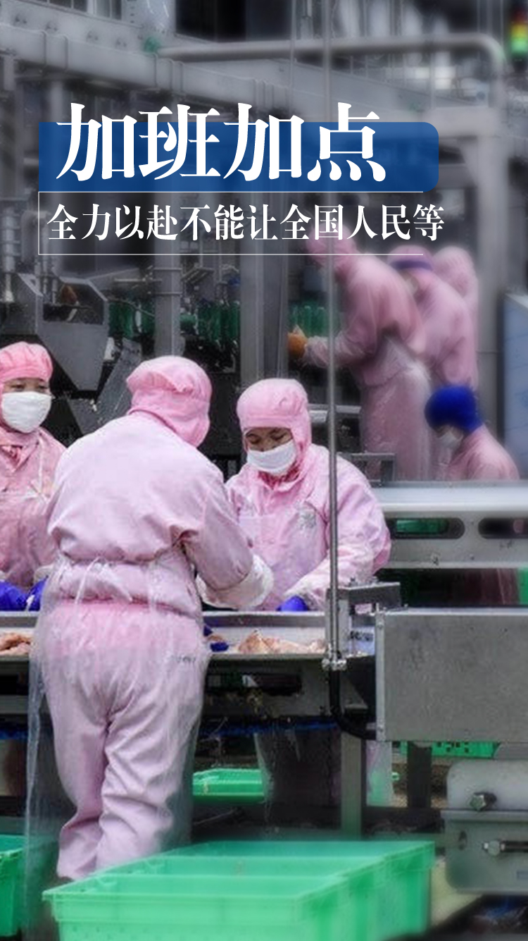 LETOU - 乐投(中文)官方网站