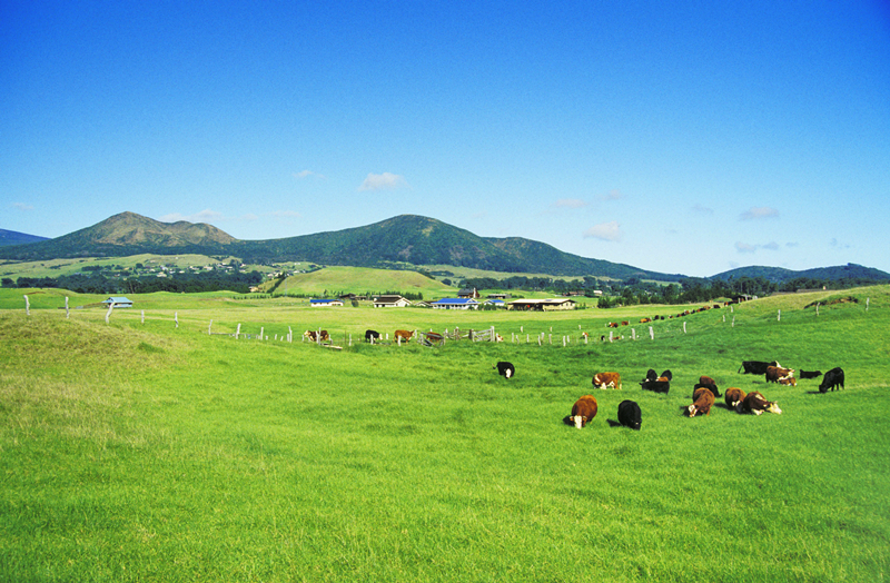 LETOU - 乐投(中文)官方网站