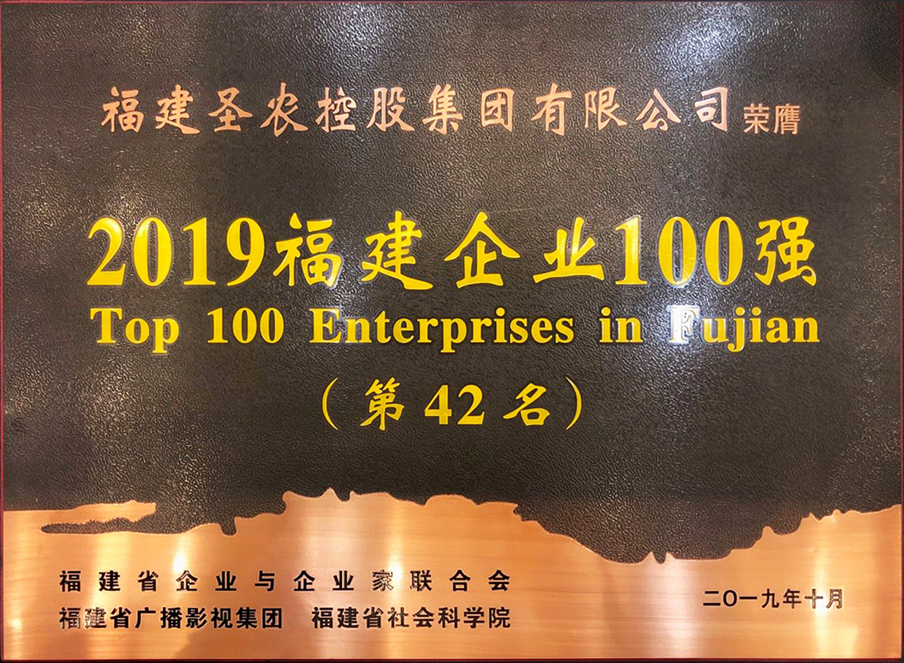 2019（LETOU乐投集团）福建企业100强