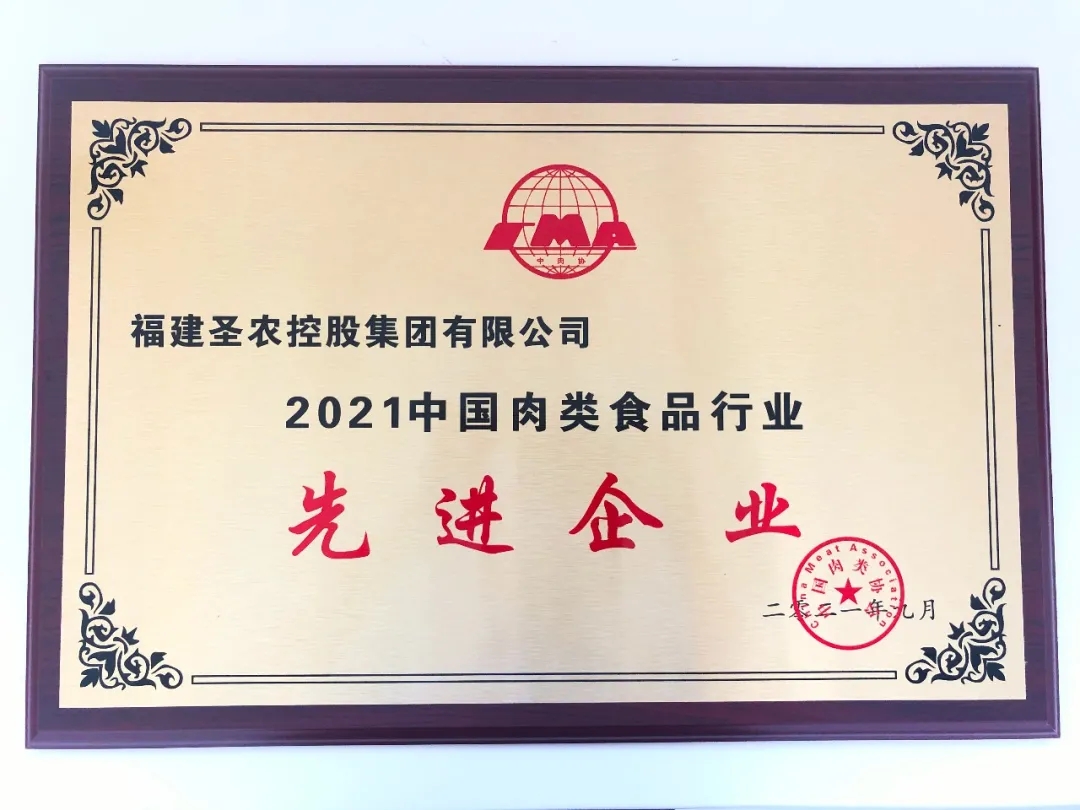2021（LETOU乐投集团）中国肉类食物行业先进企业